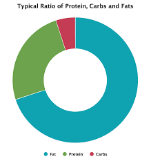 keto 101 the ketogenic diet explained for beginners keyto