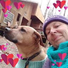 Brown Thrasher Cecil County