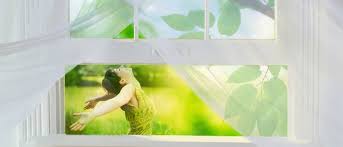 Check spelling or type a new query. Damp Basement Moist Walls How To Ventilate During Summer