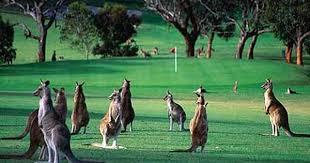 Google Image Result For Http Media News Com Au Travel Lp Images Bn3727 18 Jpg Australia Holidays Australia Golf Courses