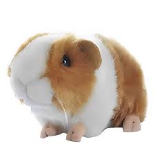 Mimia Guinea Pig Plush Toy Present Small Animal Fluffy Large Cute Realist  No.230 – FUNAAB Zoo Park