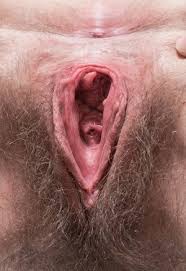 Hairy mature old timer wearing red lingerie and playing with toy. Hd Hairy Mature Pussy Close Up Hot Xxx Photos Best Porn Images And Free Sex Pics On Www Pornbasic Com