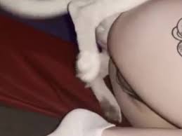 Knotty fun with my dog - BestialitySexTaboo - Bestiality Sex Taboo