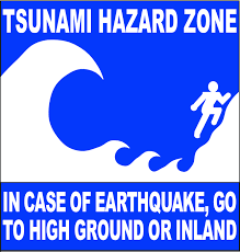 A tsunami may be preceded by a rapid fall in sea level as the ocean recedes, exposing reefs, rocks, and fishes on the sea bottom tsunami often comes ashore as a wall of water, and quickly flood inland. Tsunami Hazard Road Sign Download Scientific Diagram