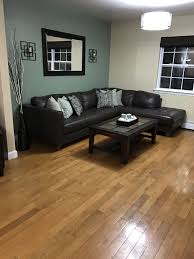 After two days of hard labor and some. I Love The Finished Product That Sage Green Accent Wall Is Sooo Relaxing Accent Walls In Living Room Green Walls Living Room Living Room Color Schemes