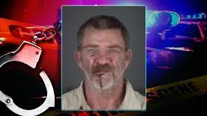 Florida man charged with sexual assault