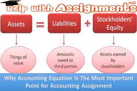 Why Accounting Equation Is The Most Important Point For Accounting Assignment Accounting Assignments Online Student