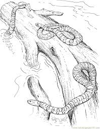 Snakes are found in a huge range of colors, from bright to dull. Water Snakes Coloring Page For Kids Free Snake Printable Coloring Pages Online For Kids Coloringpages101 Com Coloring Pages For Kids
