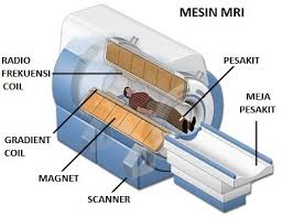 Mri Tulang Belakang Portal Myhealth