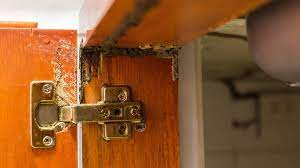 To prevent termites from entering your home and wreaking havoc on your wood, block or remove all possible entryways or access points. 7 Signs Of Termites In Your Home Today S Homeowner