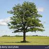 For a freestanding temporary structure, you don't need the landowner's permission. 1