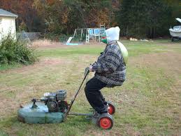 For example, the lawn edger will trim the strips around your mailbox, paved areas, areas of gravel or sand, or areas where the soil is not covered. Lawnside Classics The Old Briggs And Stratton 3 Hp Gets A New Ignition Coil And The Lawn Boy Needs Something A Bit More Serious Curbside Classic