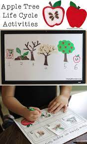 How Does An Apple Grow Apple Tree Life Cycle Tree Life Cycle Life Cycles Kindergarten