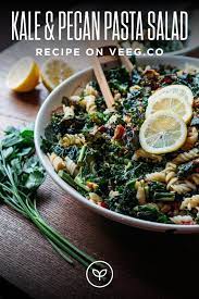 Kale Pecan Cranberry Pasta Salad Recipe Veeg Recipe Pasta Salad Salad Recipes Recipes