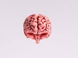Think faster, focus better, and remember more with brainhq—improve your brain health with clinically proven brain training exercises. How Coronavirus Affects The Brain