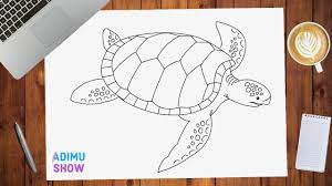 How To Draw A Turtle - Youtube Turtle Drawing Easy Drawings Drawings