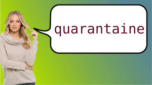 How To Say Quarantine In French Youtube