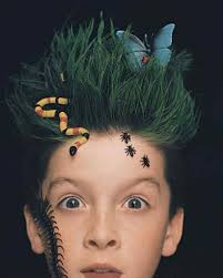 Here are some super quick and easy ideas that. 10 Elegant Crazy Hair Ideas For Boys Best Crazy Hair Day Ideas 30 Ideas For Crazy Hair Day At School For 2 Crazy Hair Crazy Hair Days Crazy Hair Ideas For Boys