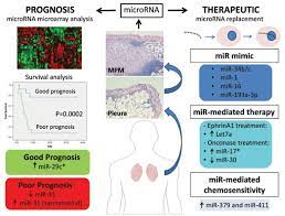 We did not find results for: Prognostic And Therapeutic Implications Of Microrna In Malignant Pleural Mesothelioma Bentham Science