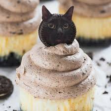 See more ideas about funny cats, crazy cats, funny animals. Pin On Lol Cats