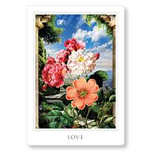 The basic meaning of the ace of hearts the ace of hearts represents a desire for affection or love that is the stimulus that causes new relationships to be created. Sacred Destiny Oracle A 52 Card Deck To Discover The Landscape Of Your Soul Linn Denise 9781401956257 Amazon Com Books