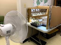 Seed starters can be used for flowers, herbs, and many other plants, but they're especially helpful if you want to grow slow maturing veggies like peppers, onions, leeks, and celery. How To Build A Grow Light Setup To Grow Plants From Seeds Home Garden Information Center