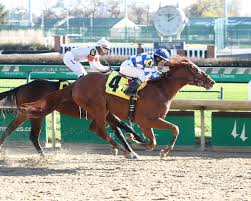 Kentucky derby odds are on the board for the biggest horse race of the year. Kentucky Derby Odds Horse Co Owned By Adam Weitsman Jim Boeheim Is A Long Shot Syracuse Com