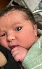 Royal family member's ancestry