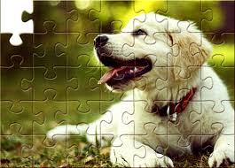 They feature fun puzzles of all types that'll keep you entertained. Break An Image Into Puzzle Pieces In Photoshop Sitepoint