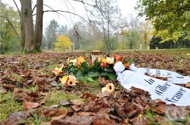 Auf der falschen beerdigung sein (salopp: Corona Regeln Fur Beerdigungen Und Hochzeiten