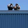 The RCMP’s surveillance of Indigenous groups exposes a centuries-long pattern in Canada