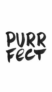 Black And White Wallpaper Quotes Minimal Black White Purrfect Iphone Phone Background Lock Screen Wallpaper Quotes Words Words Quotes