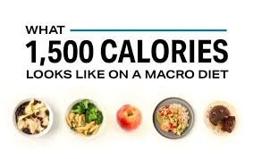 28 Day Squat Plank Lunge Plan Fitness Myfitnesspal Macros Diet 500 Calories Nutrition