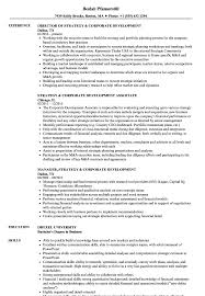 strategy & corporate development resume