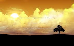 We would like to show you a description here but the site won't allow us. Boy Standing Under A Tree 640x960 Wallpaper Teahub Io