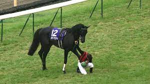 Check spelling or type a new query. 2012 å¤©çš‡è³žç§‹ ã‚¨ã‚¤ã‚·ãƒ³ãƒ•ãƒ©ãƒƒã‚·ãƒ¥withãƒŸãƒ«ã‚³ ãƒ‡ãƒ ãƒ¼ãƒ­ ã‚µãƒ©ãƒ–ãƒ¬ãƒƒãƒ‰ ç«¶èµ°é¦¬ ãƒ‡ãƒ ãƒ¼ãƒ­