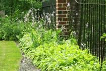 The lawn care nut allyn hane added a the lawn care. How To Use A Tank Sprayer Ace Tips Advice