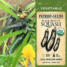 Zucchini is a surprisingly good for you summer squash. Organic Squash Summer Black Beauty 4g Heirloom Non Gmo Seeds My Patriot Supply