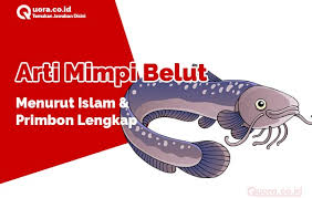 Terkcuali burung yang di kecualikan, lantas, bagaimana pandangan ahli tafsir atau psikolog. Arti Mimpi Belut Menurut Islam Dan Primbon
