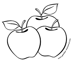 Sketsa gambar pohon apel : Gambar Mewarnai Buah Apel Kreasi Warna