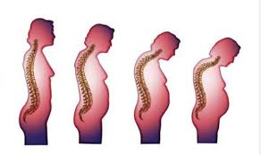 Queen elizabeth ii's height is 5ft 4in (163 cm). Queen Elizabeth Ii Height How Tall Is The Queen And How Much Has She Shrunk Express Co Uk
