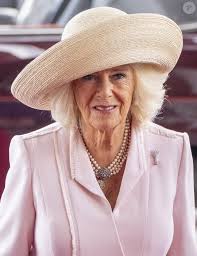 Photo : Le roi Charles III et la reine Camilla (Le roi Charles III  d'Angleterre et Camilla Parker Bowles, reine consort d'Angleterre) visitent  le Senedd à Cardiff pour célébrer les 25 ans