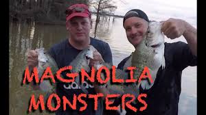 © copyright 2021 major league fishing. The Best Crappie Fishing In America Our Top 8 Lakes Premier Angler