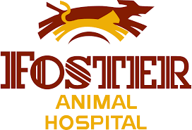 Concord Nc Pet Hospital Canine Rehab Dog Physical Therapy Foster Animal Hospital Clinic Concord Nc