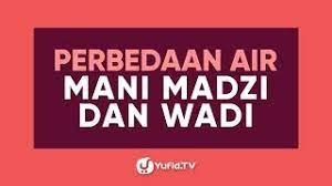 Adapun apabila air mani telah mengering, maka cukup dengan mengeriknya. Perbedaan Air Mani Madzi Dan Wadi Poster Dakwah Yufid Tv Youtube
