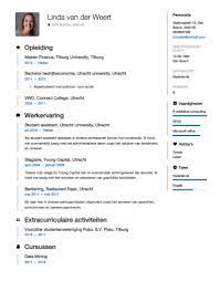 Studenten Cv Voorbeeld Met Tips Download In Word Pdf