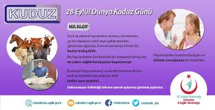 28 Eylul Dunya Kuduz Gunu Ilk Kuduz Eskisehir Il Saglik Mudurlugu ÙÙØ³Ø¨ÙÙ