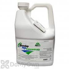 I did this successfully in my first roundup to collect answers from four people that i otherwise would not have what tips do you have for putting together an expert roundup? Is There A Shelf Life For Roundup Pro Concentrate