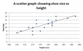 Correct Shoe Size To Height Calculator Shoe Size Conversion
