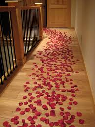Life might not be a walk in the park but it sure can be a bed of roses. Romance Package Of 1000 Red Rose Petals Plus Candles